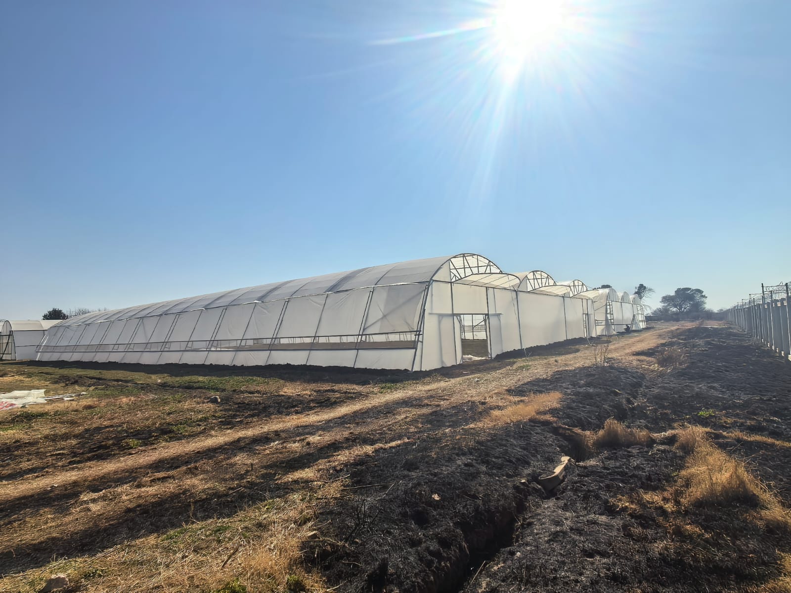 Multi-Span Tunnel built by Future Farms SA