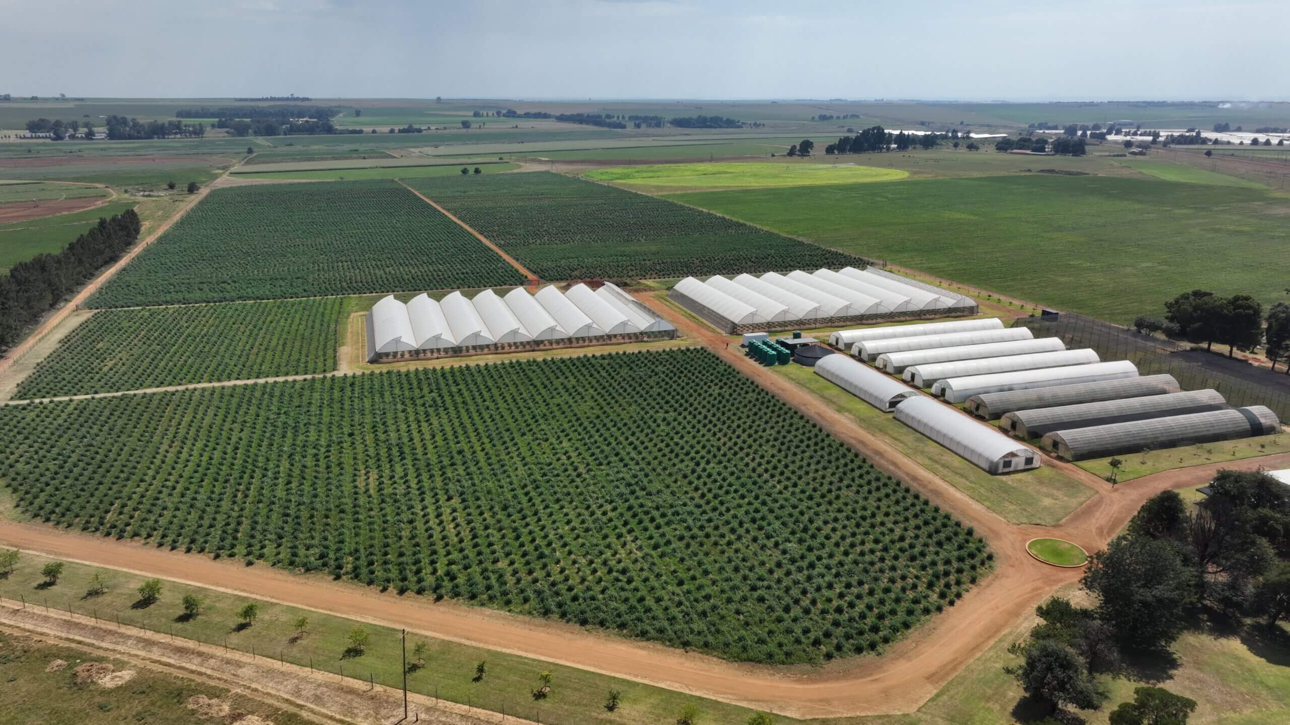 Aerial view of the Genesis CBD hemp facility tunnels and shade-netting