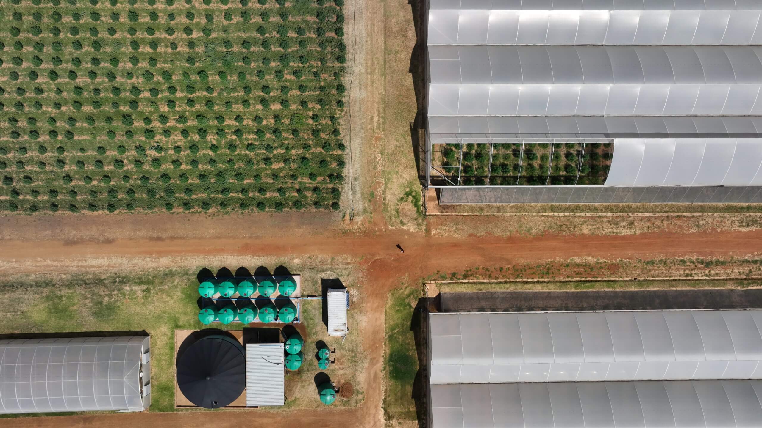 Aerial view of the 18 hectare Genesis CBD farm infrastructure