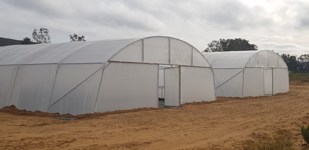 30m x 10m hydroponic tunnel at the Touws River farm